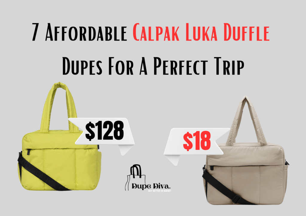 Calpak Luka Duffle Dupe